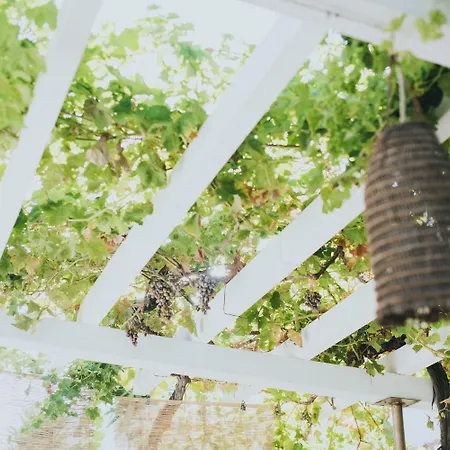 Sa Cruxitta 4* ポルトスクーゾ